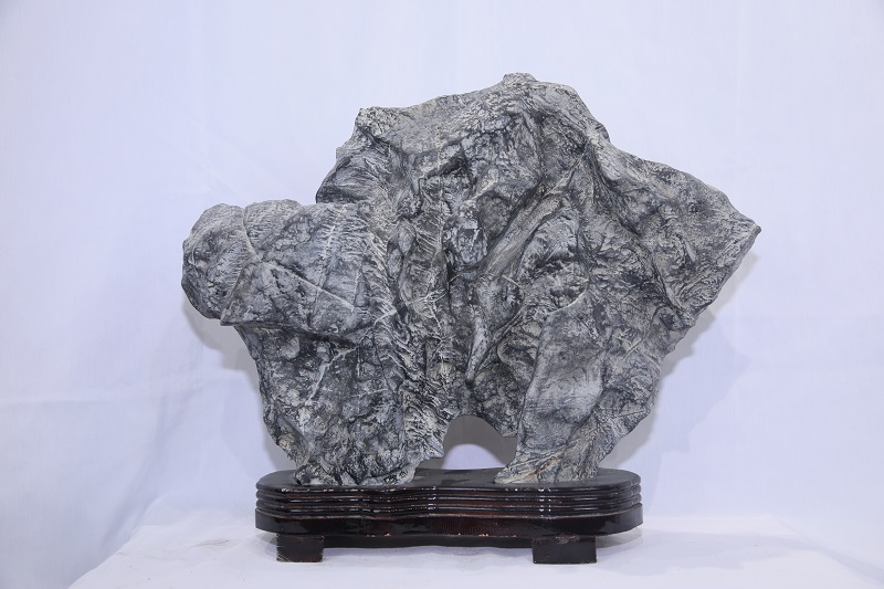 1610594221105944.jpg 4F9A8037.JPG