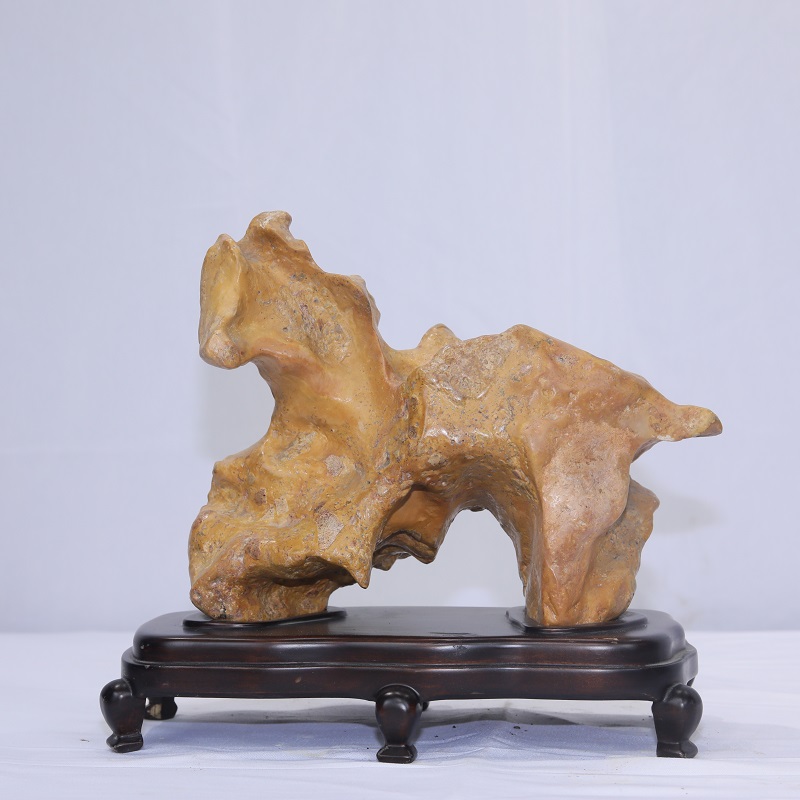 1610594240603262.jpg 4F9A8176.JPG