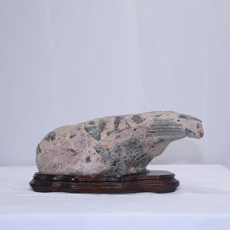 1610594254119228.jpg 4F9A8219.JPG