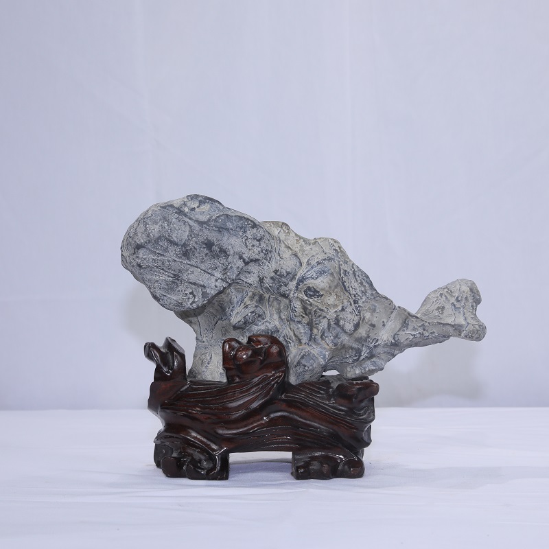 1610594269334012.jpg 4F9A8242.JPG