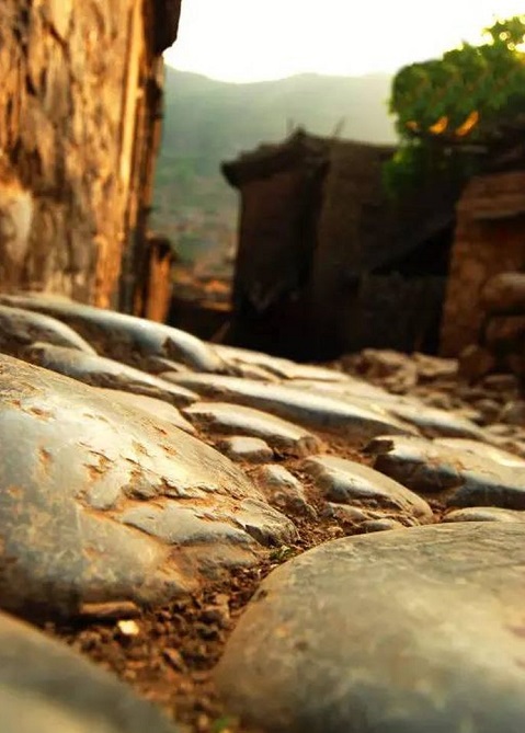 1611463094139354.jpg v2-d6fc57aeda063a71b162ab22852086ef_720w.jpg