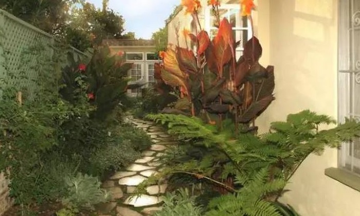 1611463125539575.jpg v2-cb59a0d0a46f6a37af825d8093a766f6_720w.jpg