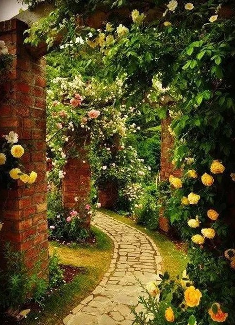 1611463172545212.jpg v2-d7a8d509568c1a002acb4915980f7694_720w.jpg