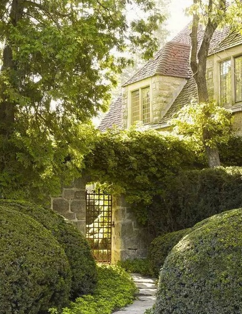 1611463204732056.jpg v2-0512c11ece5266a8eec8e3c22419d619_720w.jpg