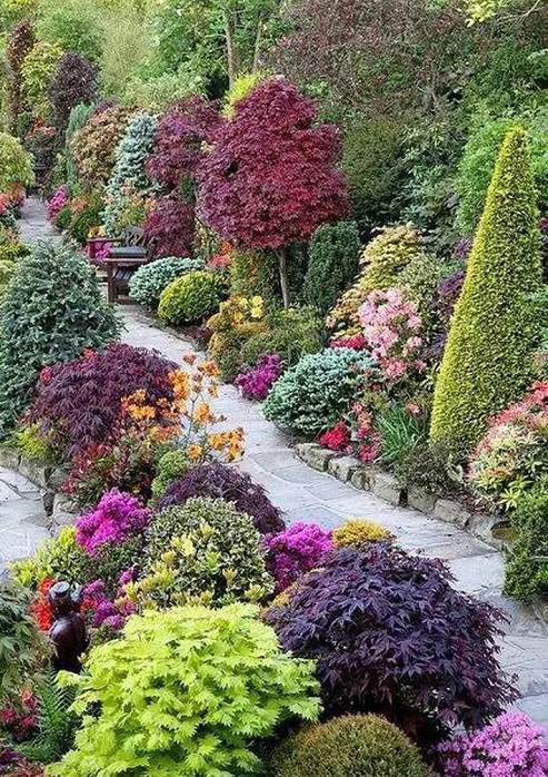 1611463291126590.jpg v2-4c1ad33f6517e00df328bad0a8d7ede9_720w.jpg