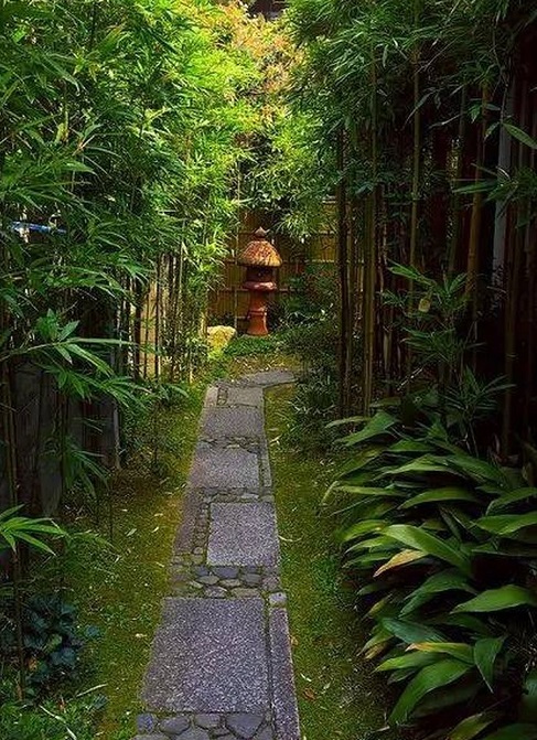 1611463623786922.jpg v2-328b312a03f33b09e2d330c339852f6e_720w.jpg