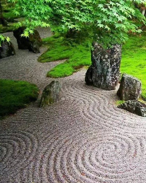 1611463683603305.jpg v2-60ac395b78faba3753922749390c37a2_720w.jpg