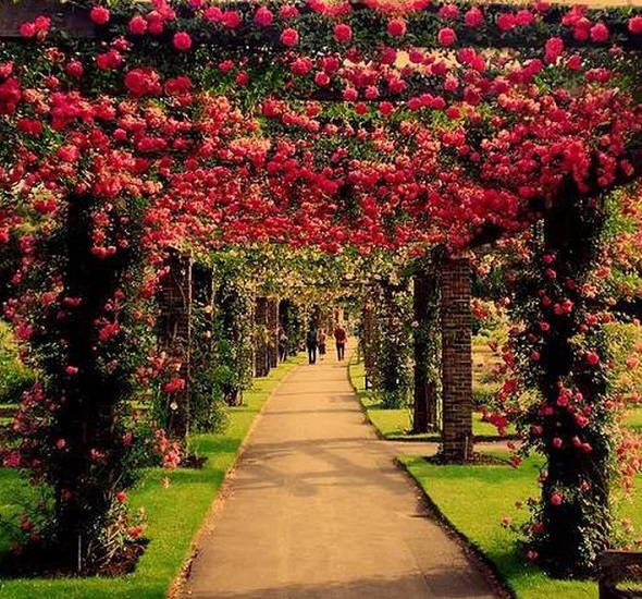 1611463790317316.jpg v2-bb81902771b8dbcd880798da10bedba1_720w.jpg