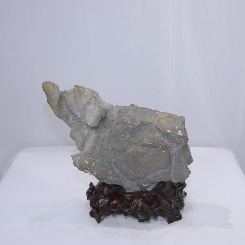 1611623458120248.jpg 4F9A9269.JPG