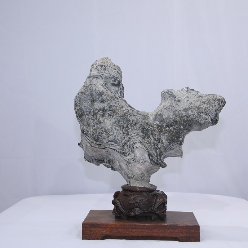 1611623552179528.jpg 4F9A8798.JPG