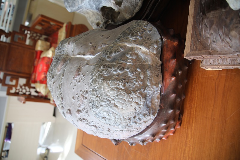 1611623632337369.jpg 4F9A0230.JPG