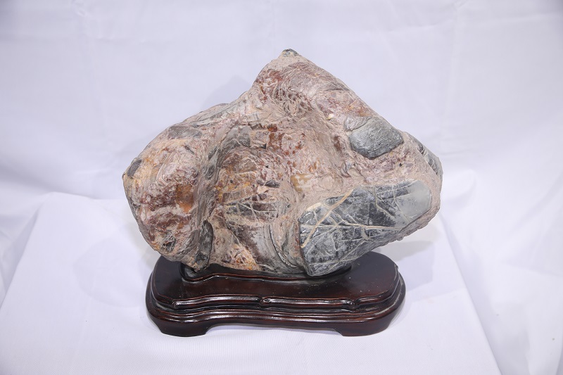 1611623718101412.jpg 4F9A6915.JPG