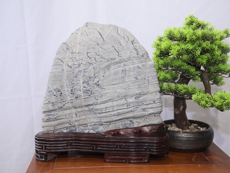 1611623775630759.jpg 8萬.JPG