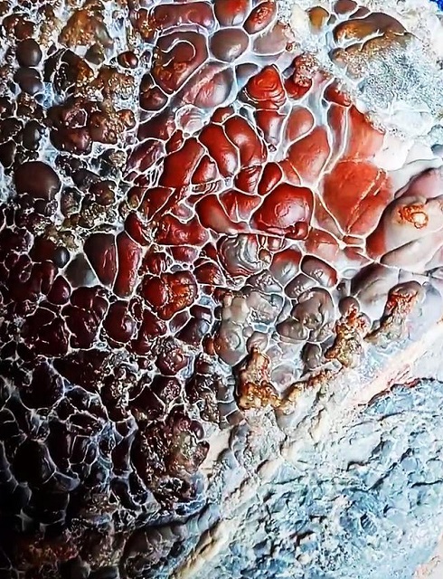 1612400381952293.jpeg d1160924ab18972b34e9618b996f568e9c510acd.jpeg