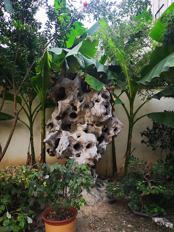 1612663398288054.jpg 微信圖片_20200622133017.jpg