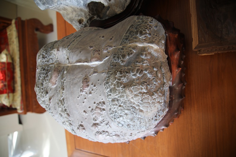 1613885778125321.jpg 4F9A0231.JPG