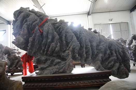 1613885906796604.jpg 4F9A3843.JPG